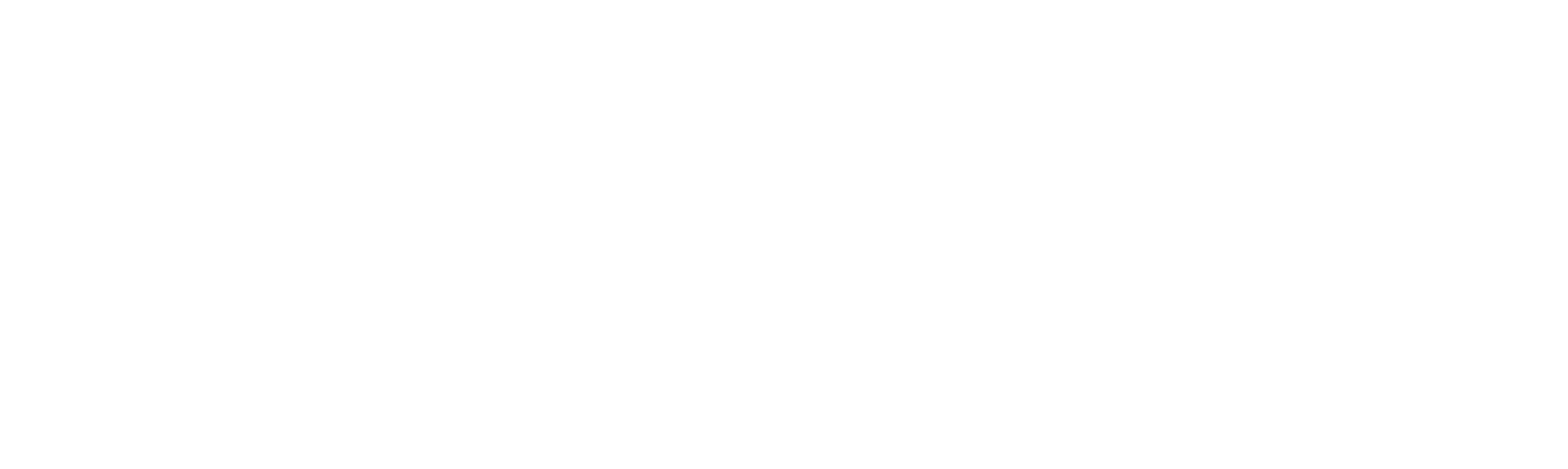 Laverie Choulans